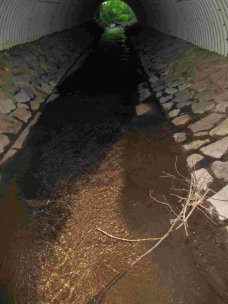 Durchlass unter der Panoramastrasse: Vor dem Umbau ein Wanderhindernis durch die glatte Betonsohle, die laminare Strömung und den niedrigen Wasserstand.