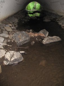 Die Steinriegel in dem Durchlass ermöglichen Bachforellen Pausen beim Aufstieg einzulegen.