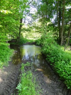 Die Furt vor der Maßnahme. Sediment wird durch Befahren in das Gewässer eingetragen.