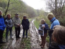 Die Exkursion ins Projektgebiet "Wald-Wasser-Wildnis" wurde u.a. von Marietta Schmitz geleitet.