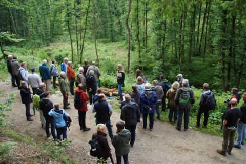 Am Bosselbach wurde ein Fichtenblock entfernt und damit die Auwaldentwicklung eingeleitet.