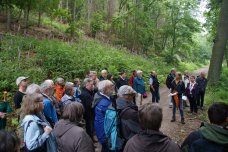 Auf einer Wanderung führte Astrid Uhlisch (Biologische Station Düren) die Teilnehmer zu den Maßnahmenstellen: Brücken statt Rohre, Auwald statt Fichten und Auegewässer für Amphibien, Libellen und Wasserfledermäuse.