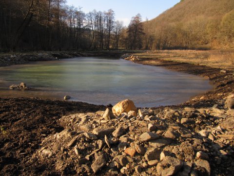 Flutmulde am Standort „Schüllbach“ – bezugsfertig für den Grasfrosch!