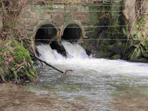 Bildet sich hinter den Rohren zusätzlich ein Absturz, kann auch die schwimmstarke Forelle nicht mehr aufsteigen.