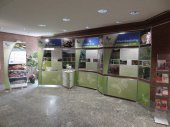 Die Ausstellung im Rathaus der Gemeinde Hürtgenwald