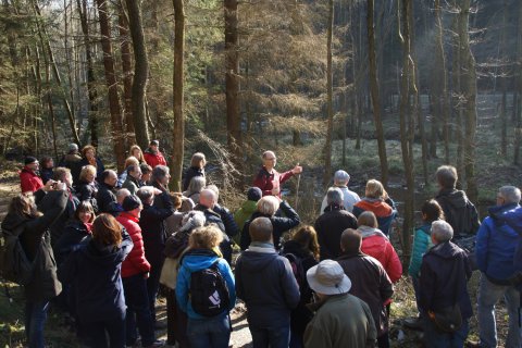 Die Exkursion ging u.a. an die Weiße Wehe im Hürtgenwald.