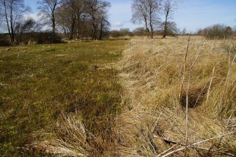 Nebeneinander von Mahdfläche und Brache