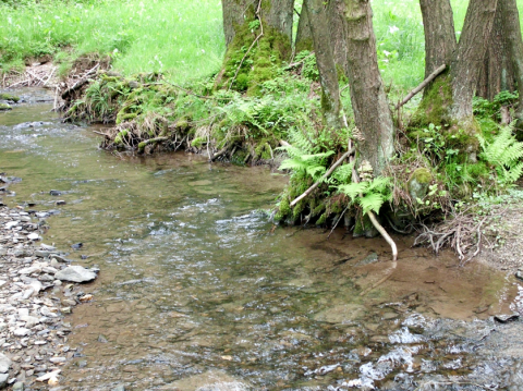 Probestelle am Tiefenbach; Foto: Klaus Enting